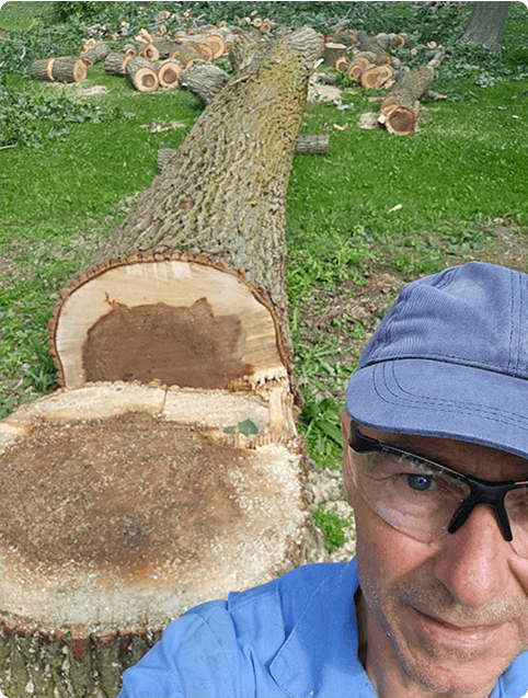 A man taking a selfie with a tree that's been cut down